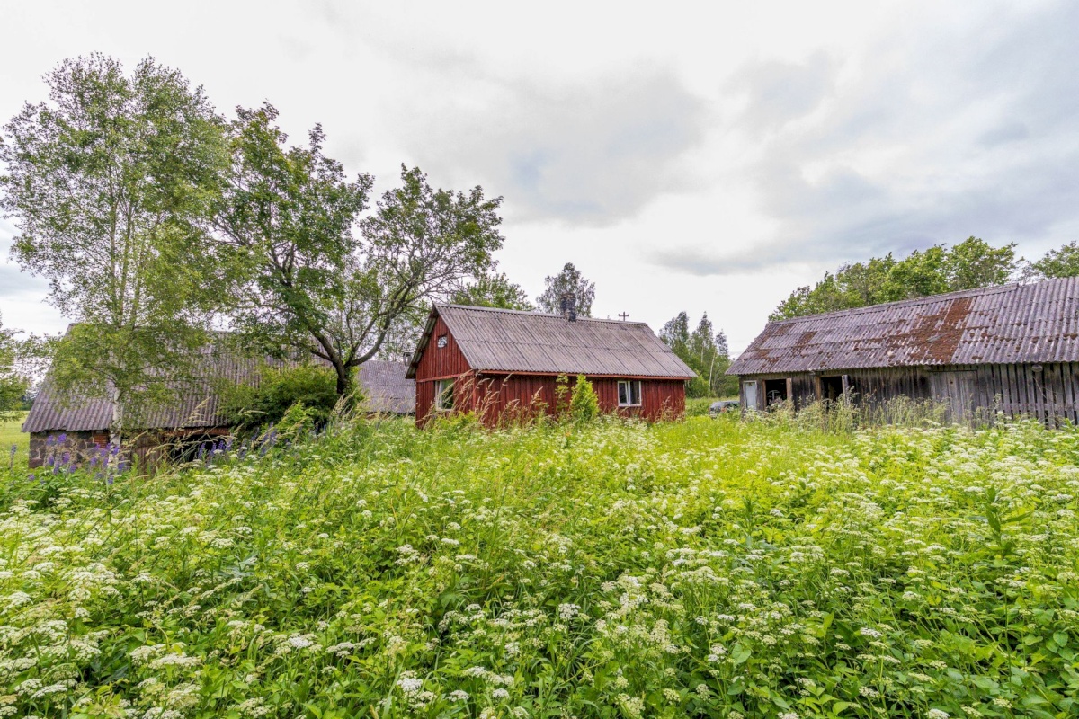 Antsla vald, Savilöövi küla, Vana-Naska; Nurga-Naska