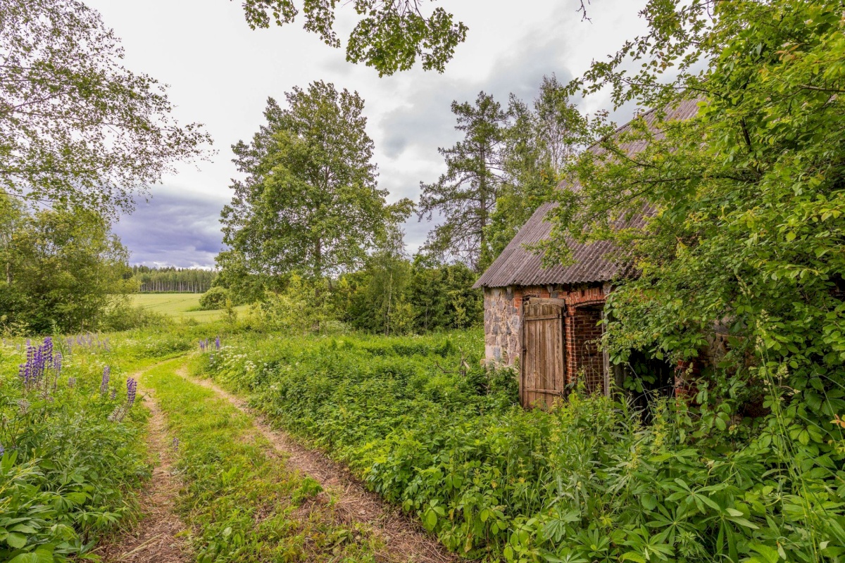 Antsla vald, Savilöövi küla, Vana-Naska; Nurga-Naska