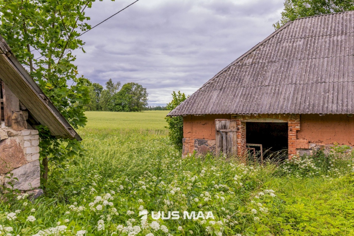 Antsla vald, Savilöövi küla, Vana-Naska; Nurga-Naska