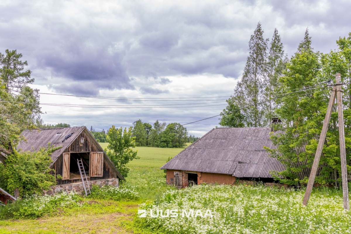 Antsla vald, Savilöövi küla, Vana-Naska; Nurga-Naska