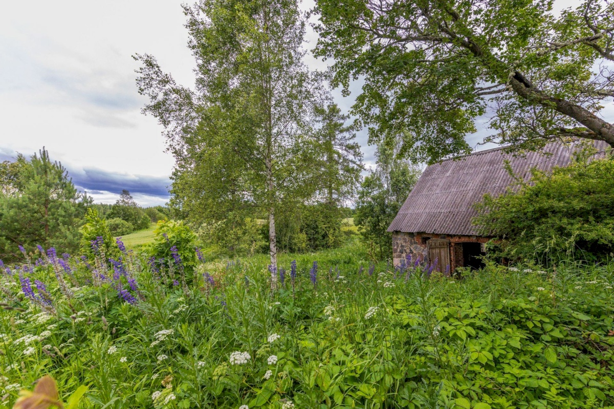 Antsla vald, Savilöövi küla, Vana-Naska; Nurga-Naska