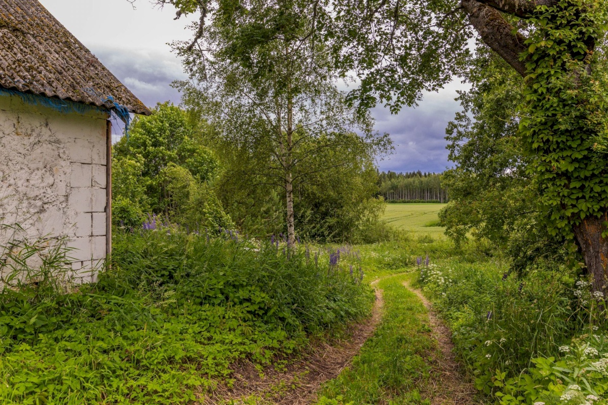 Antsla vald, Savilöövi küla, Vana-Naska; Nurga-Naska