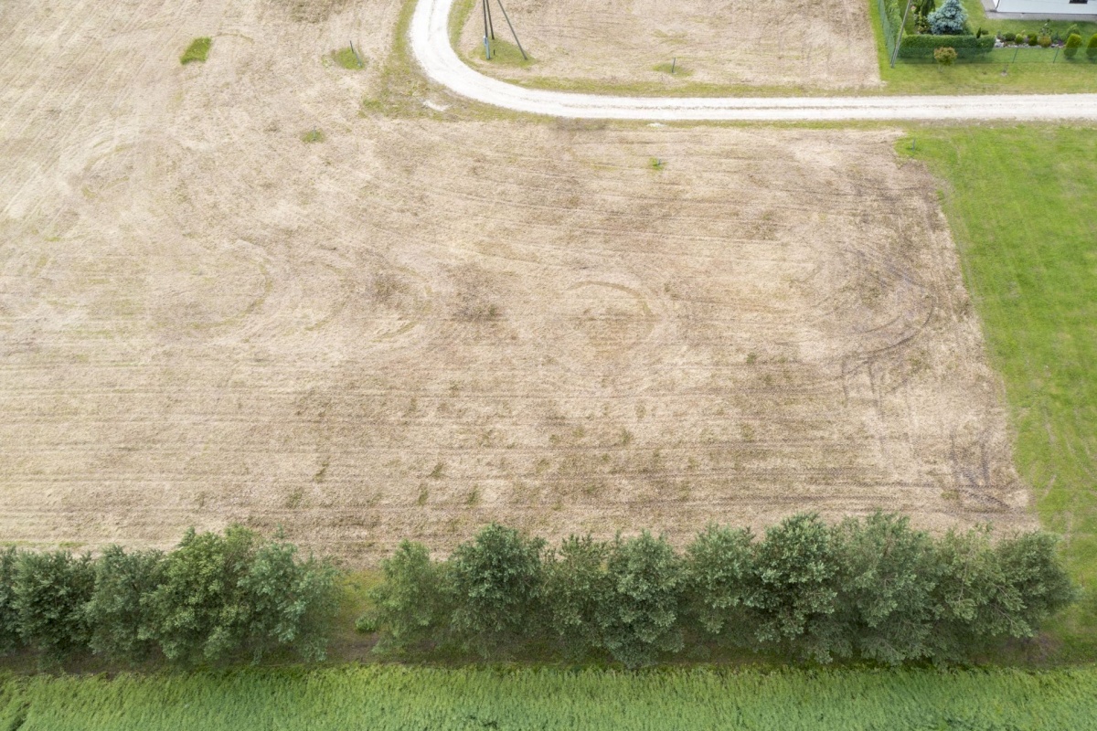 Paide linn, Sargvere küla, Alliksoone Tee 9