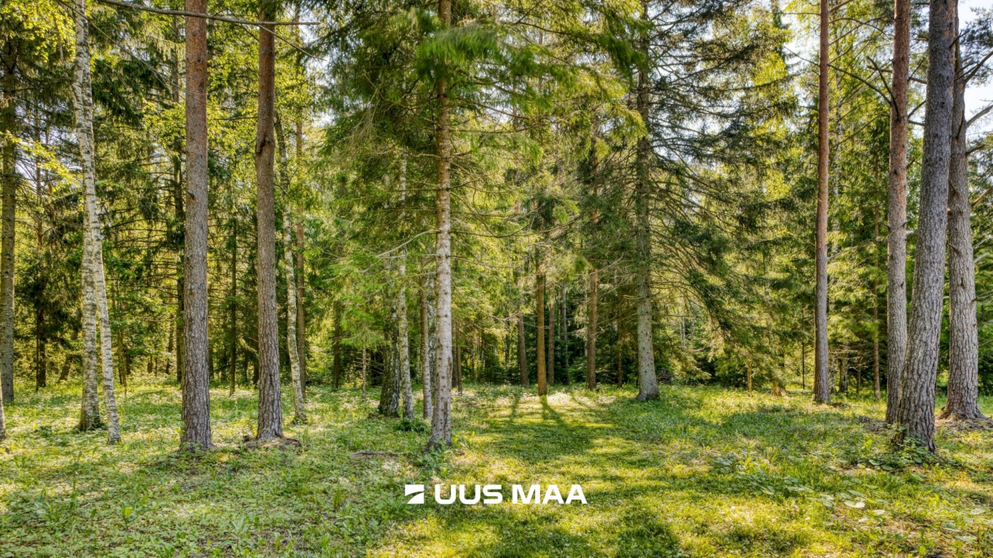 Saue vald, Koppelmaa küla