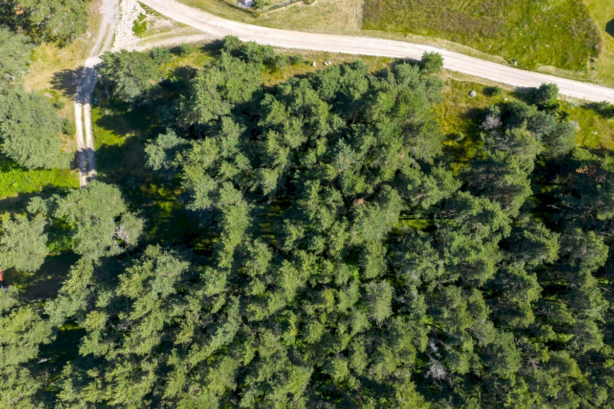 Lääne-Nigula vald, Rooslepa küla/Roslep, Rooslepa rannatee 2