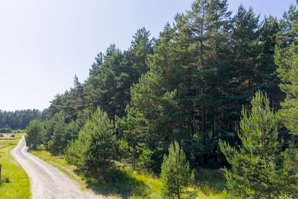 Lääne-Nigula vald, Rooslepa küla/Roslep, Rooslepa rannatee 2