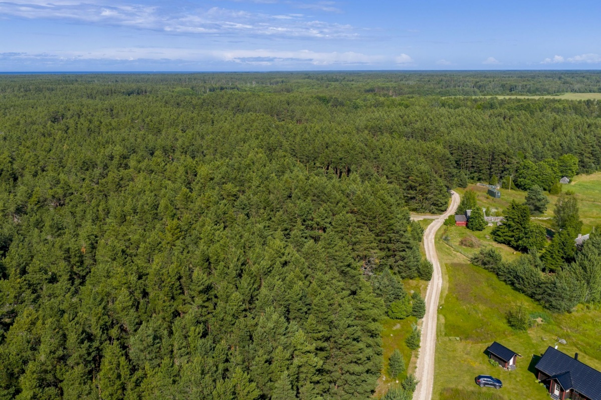 Lääne-Nigula vald, Rooslepa küla/Roslep, Rooslepa rannatee 2