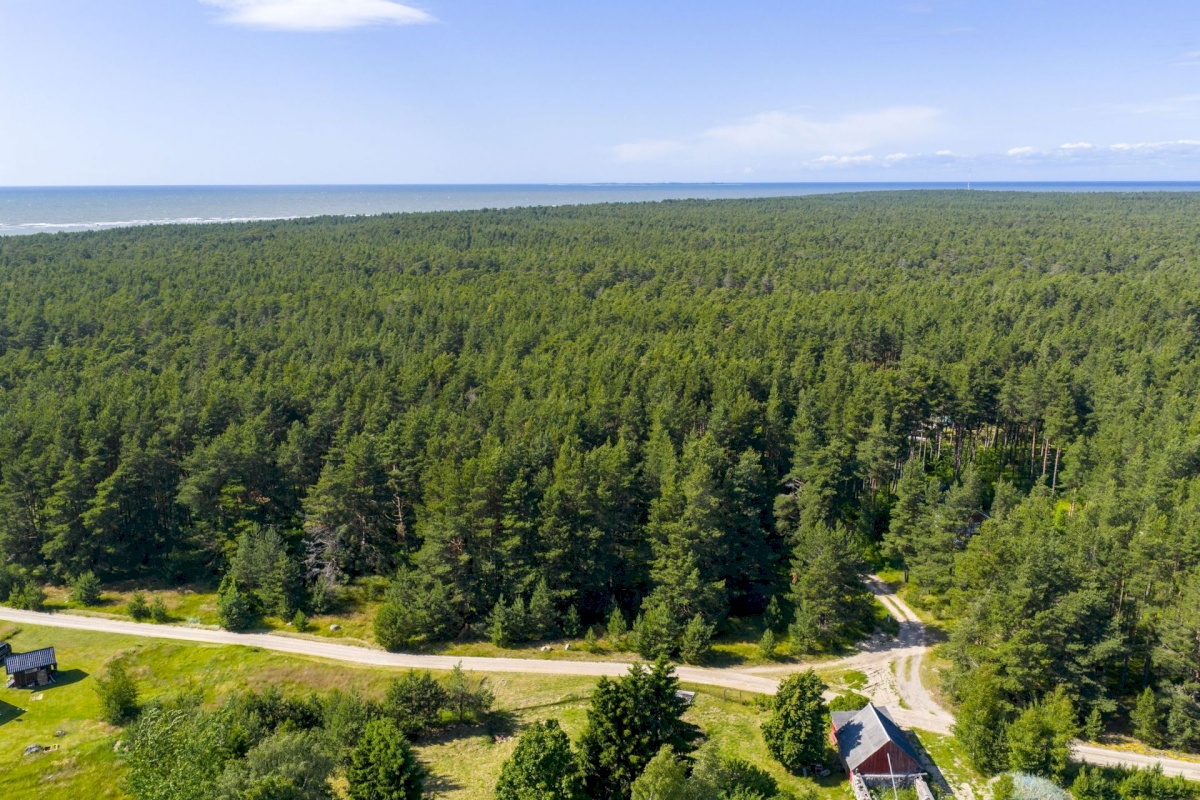 Lääne-Nigula vald, Rooslepa küla/Roslep, Rooslepa rannatee 2