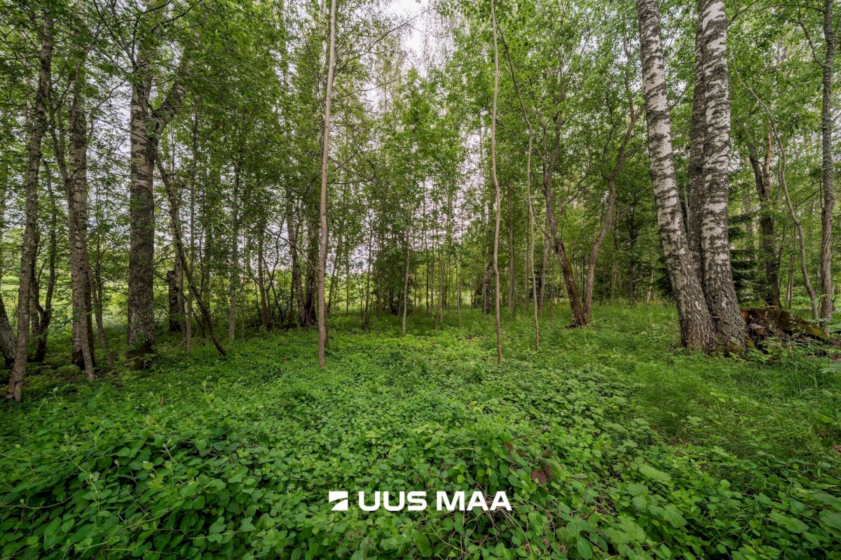 Kambja vald, Sulu küla, Sulu