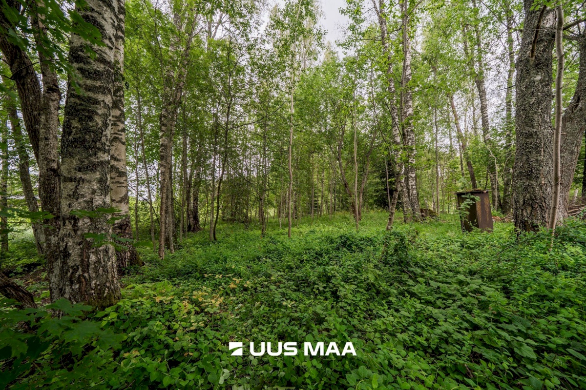 Kambja vald, Sulu küla, Sulu