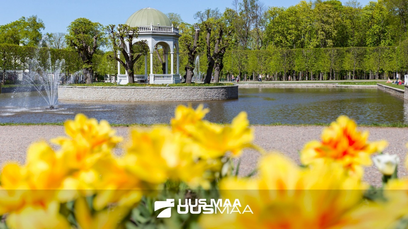 Tallinn, Kesklinna linnaosa, Kadriorg, J.Vilmsi tn 14