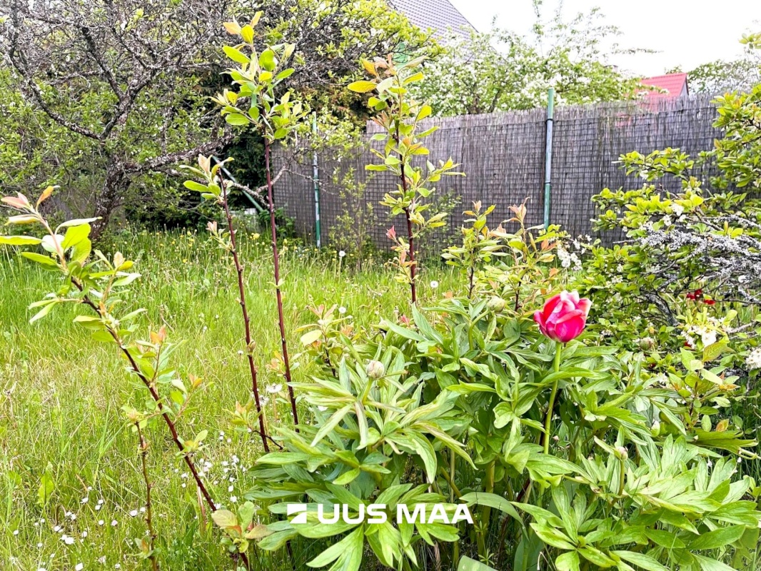 Lääne-Harju vald, Laulasmaa küla, Mareka vkt 45