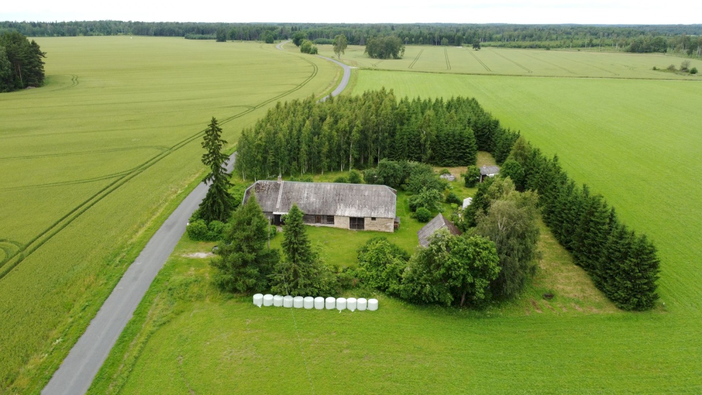 Haljala vald, Põdruse küla, Mardikaevu