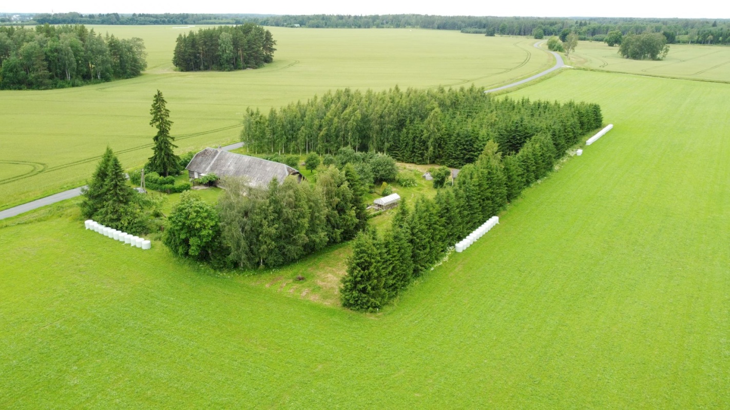 Haljala vald, Põdruse küla, Mardikaevu