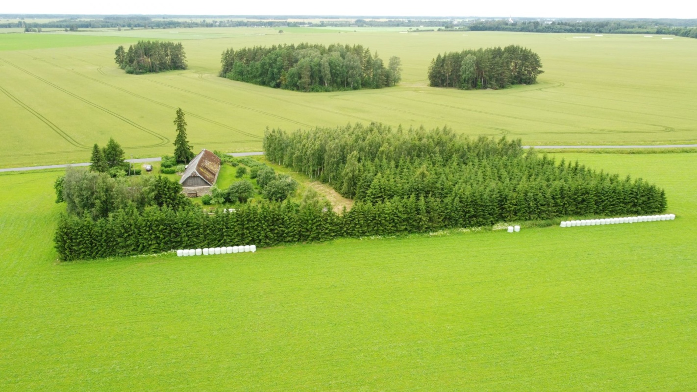 Haljala vald, Põdruse küla, Mardikaevu