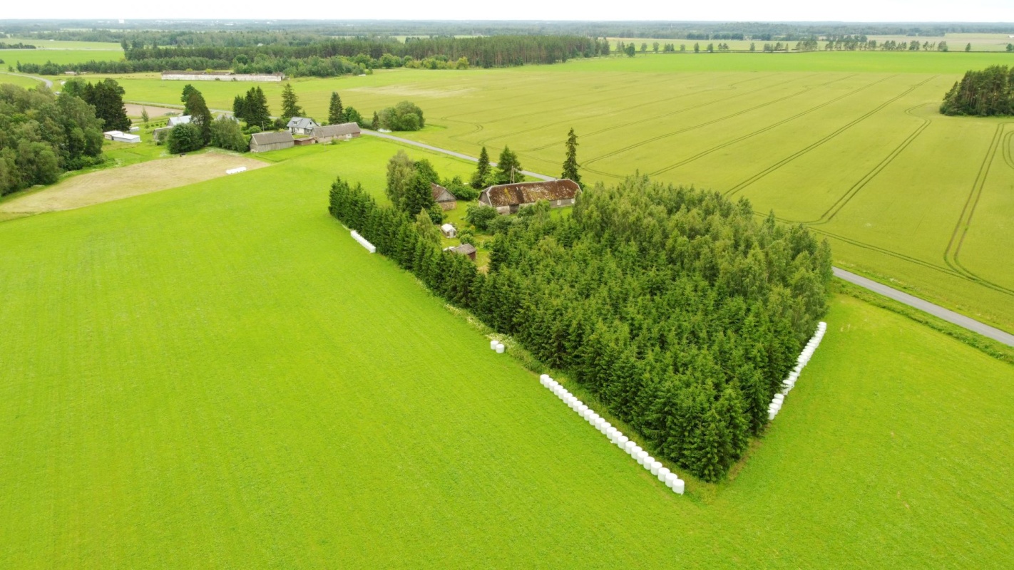 Haljala vald, Põdruse küla, Mardikaevu