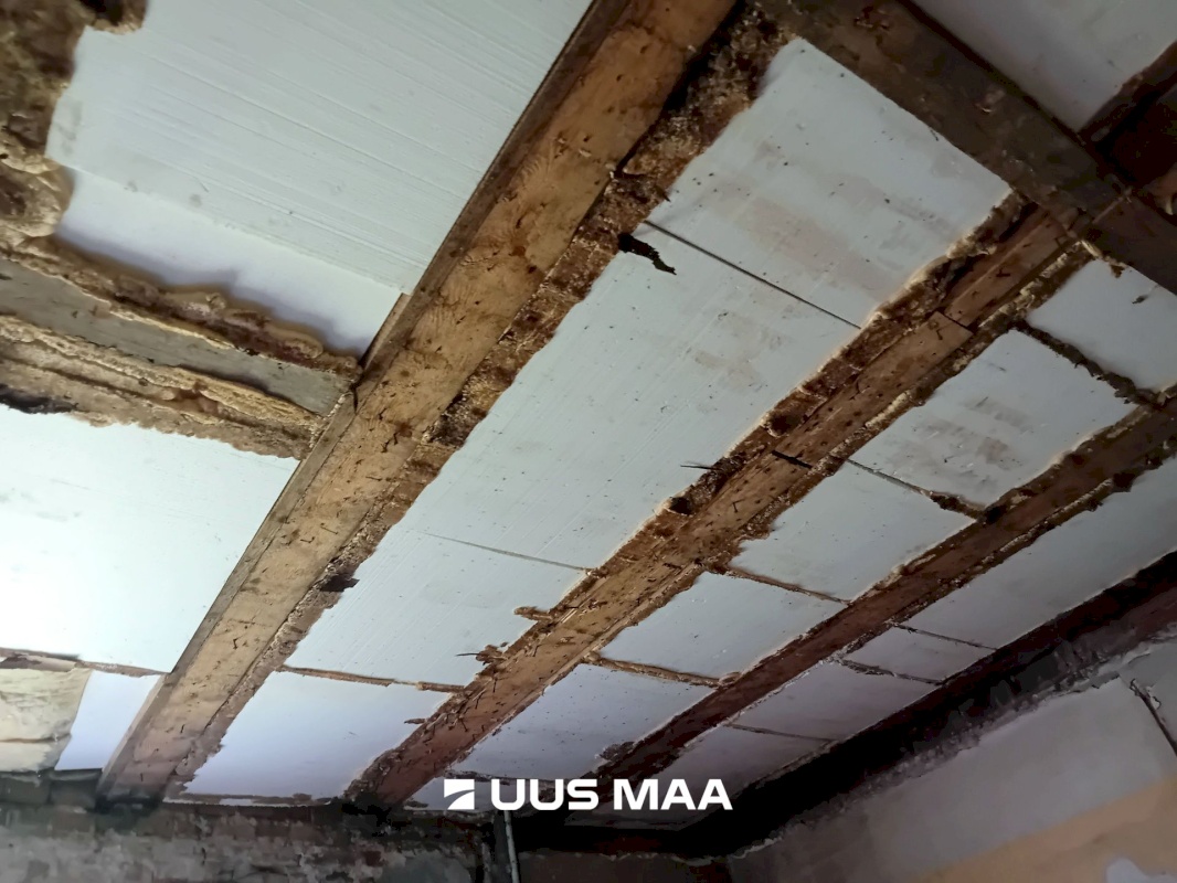 Tartu linn, Tartu linn, Raadi-Kruusamäe, Roosi 77