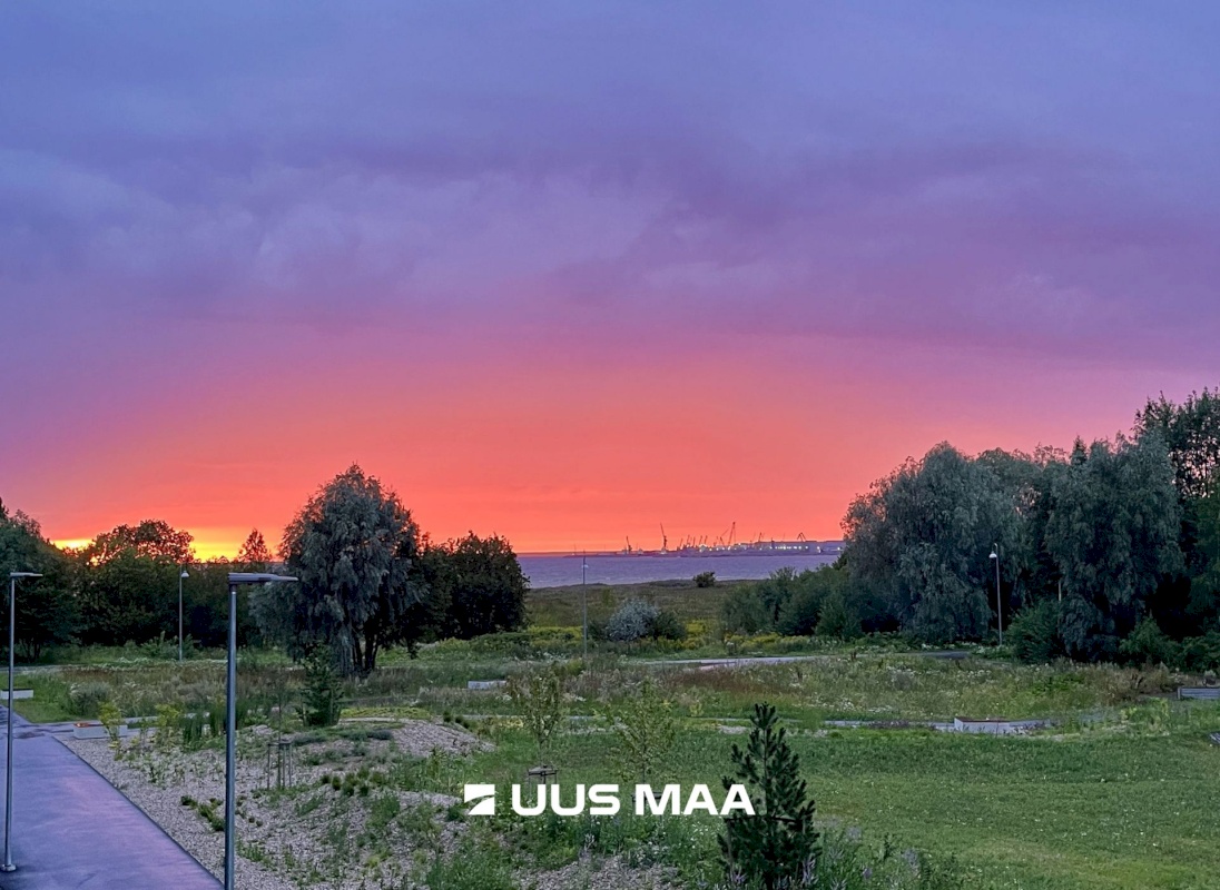 Tallinn, Haabersti linnaosa, Lammi 8