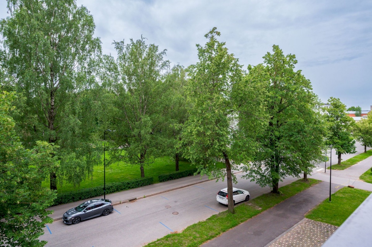 Tartu linn, Tartu linn, Kesklinn, Tiigi 19