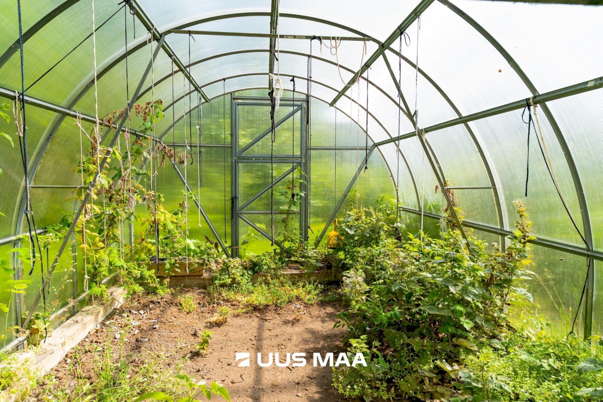 Põltsamaa vald, Põltsamaa linn, Pikk tn 45