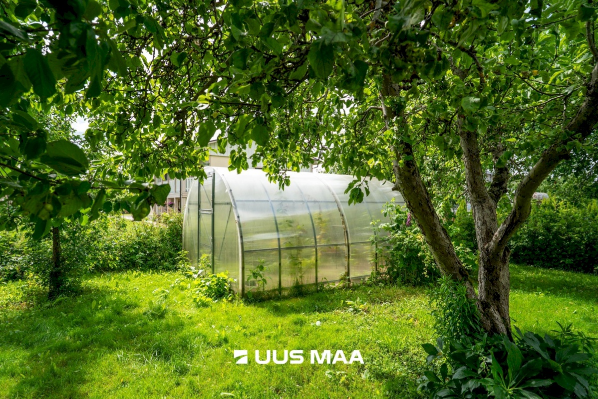 Põltsamaa vald, Põltsamaa linn, Pikk tn 45