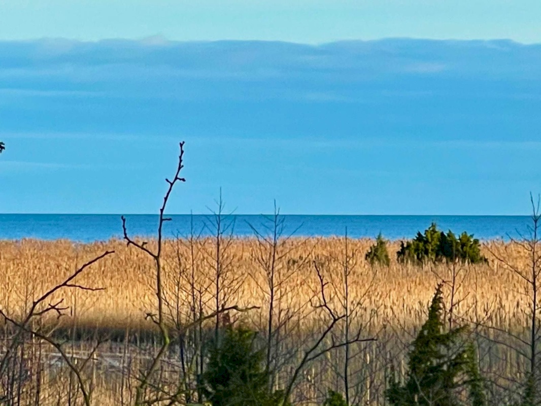 Saaremaa vald, Abruka küla