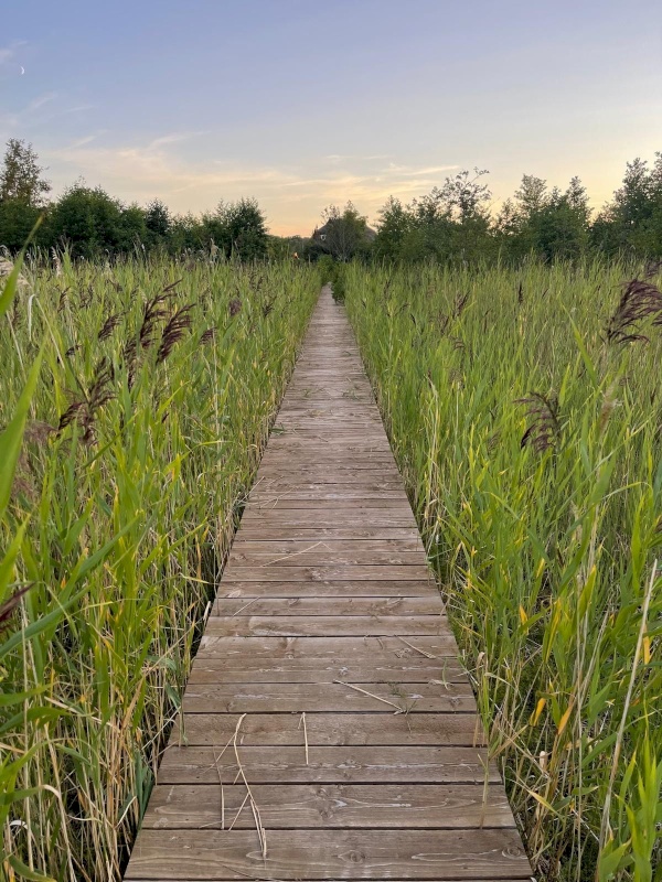 Saaremaa vald, Abruka küla