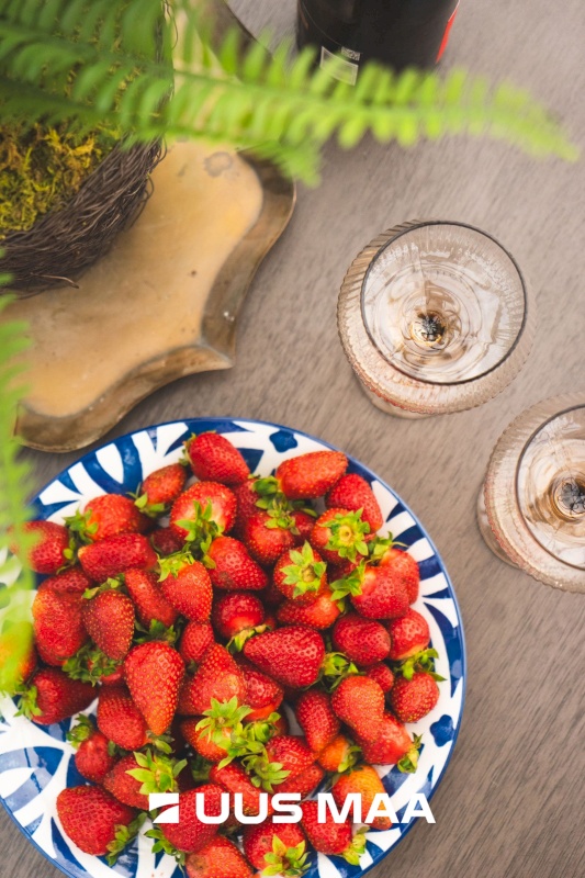 Lääneranna vald, Virtsu alevik, Puhtu tee 14