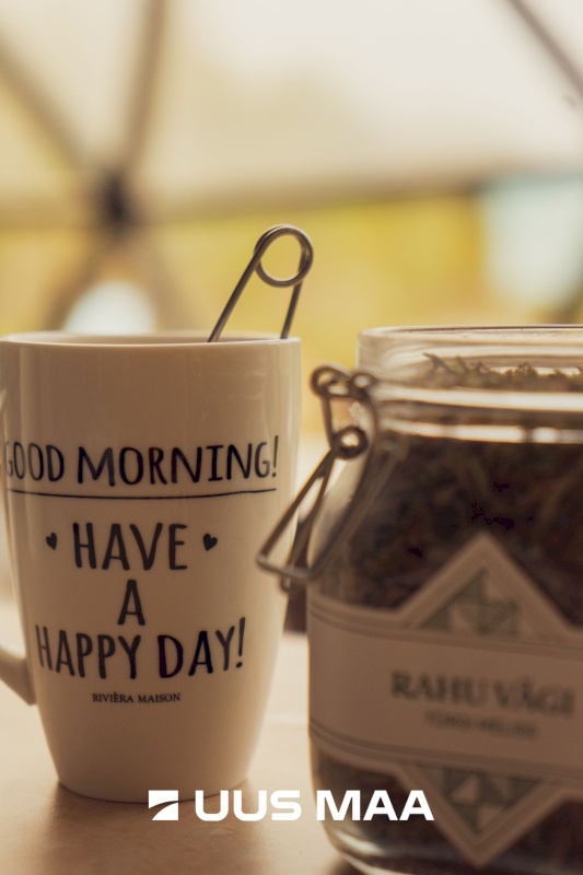 Lääneranna vald, Virtsu alevik, Puhtu tee 14