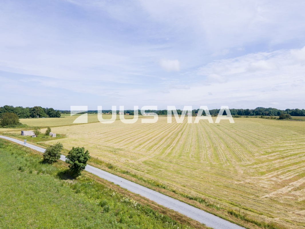 Saaremaa vald, Tareste küla, Jurna kinnistu