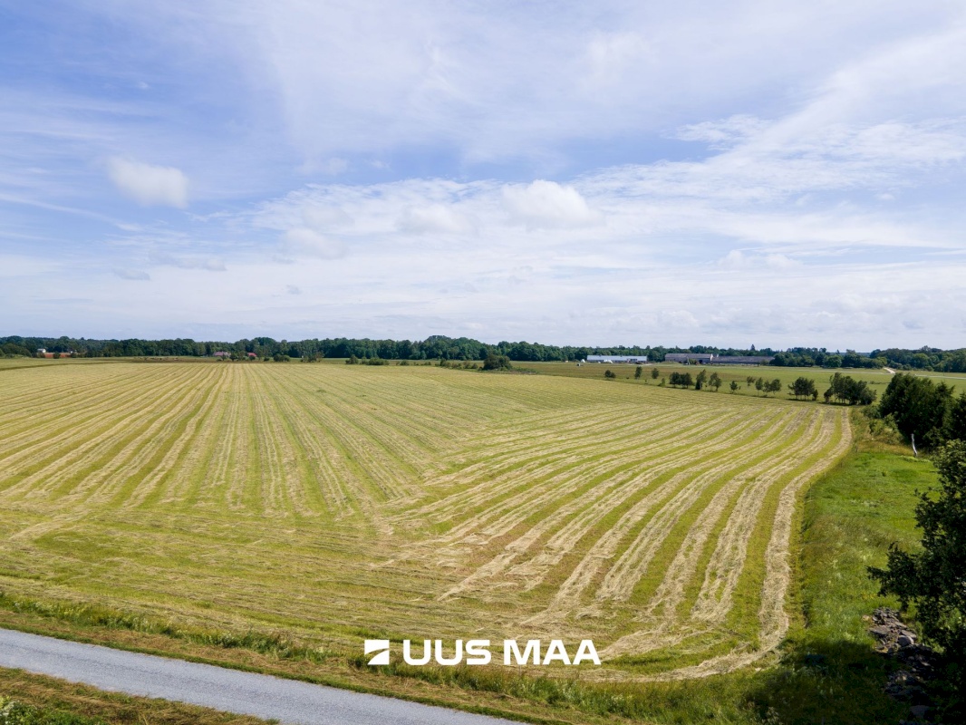 Saaremaa vald, Tareste küla, Jurna kinnistu