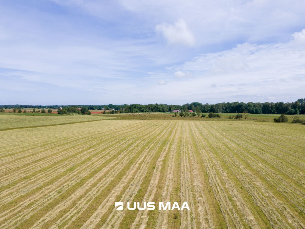 Saaremaa vald, Tareste küla, Jurna kinnistu