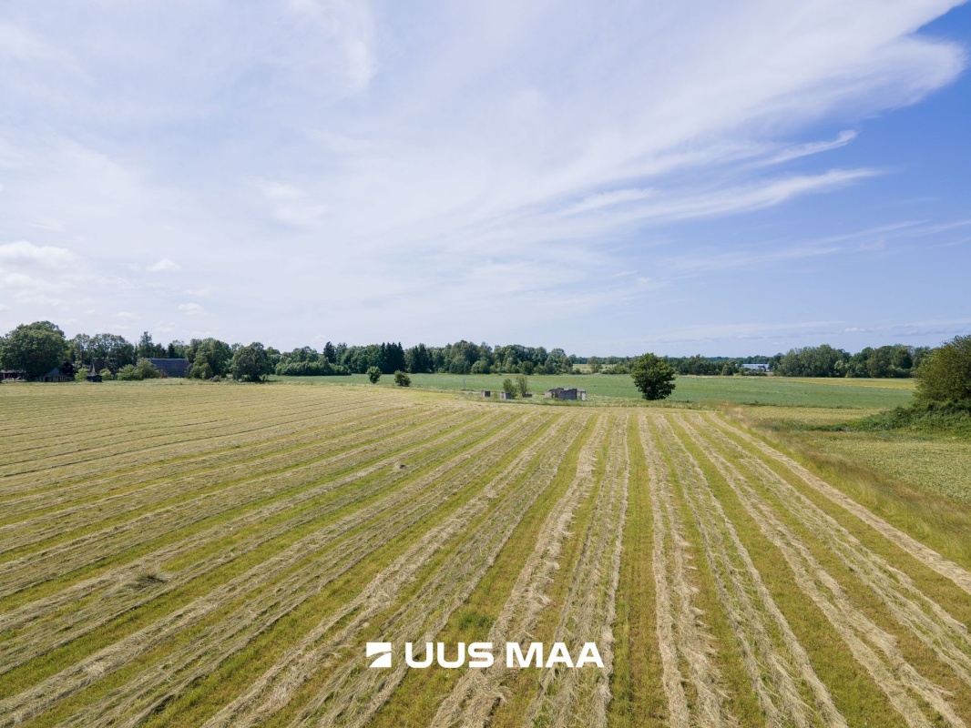 Saaremaa vald, Tareste küla, Jurna kinnistu