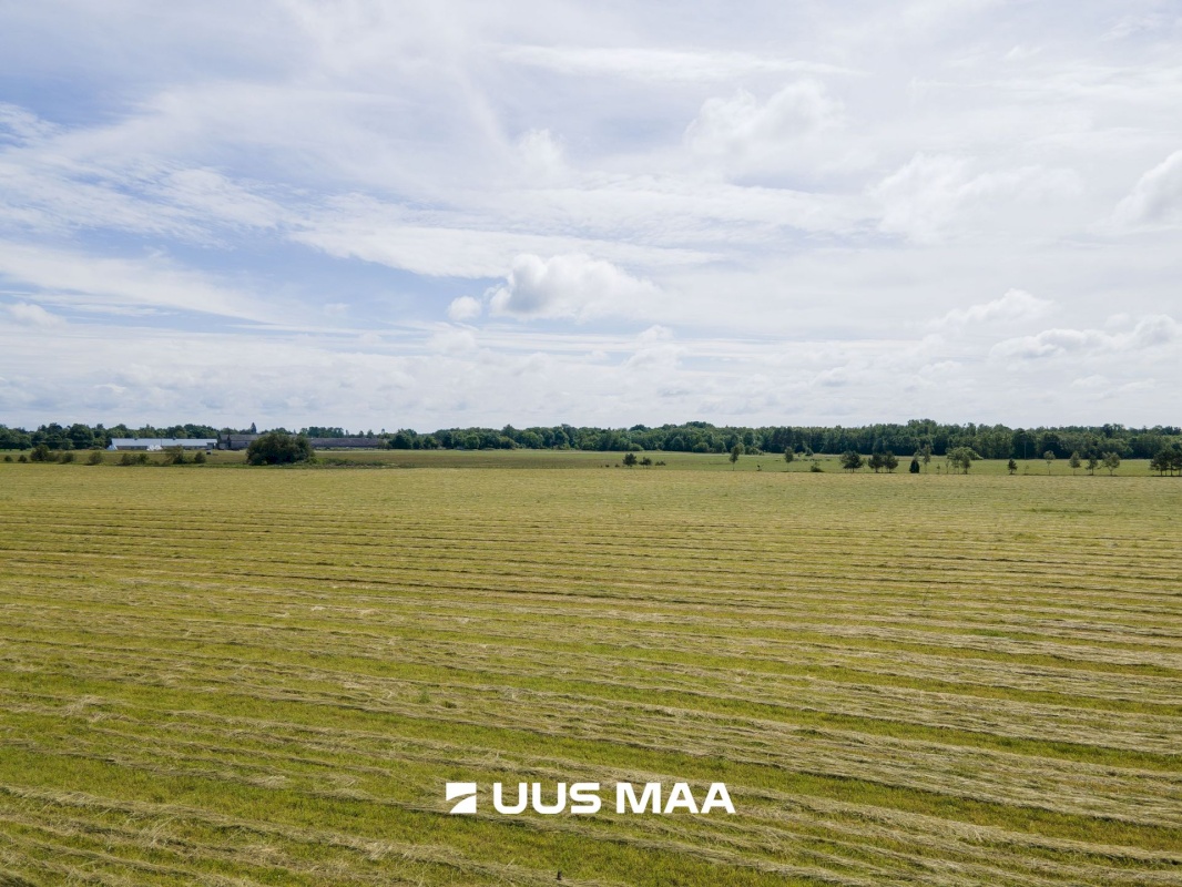 Saaremaa vald, Tareste küla, Jurna kinnistu