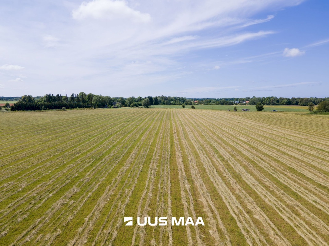 Saaremaa vald, Tareste küla, Jurna kinnistu