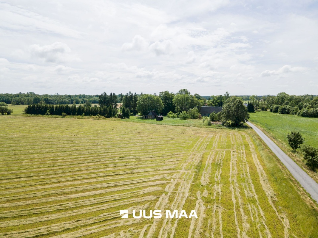 Saaremaa vald, Tareste küla, Jurna kinnistu