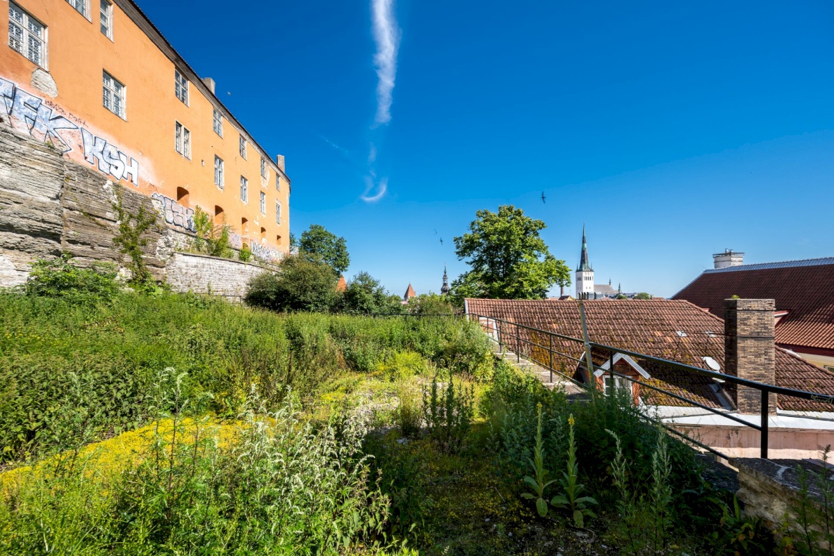 Tallinn, Kesklinna linnaosa, Vanalinn, Nunne 1
