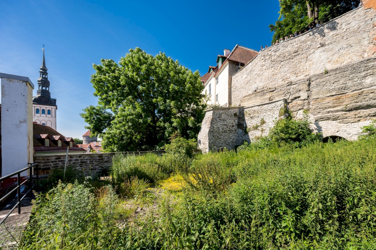 Tallinn, Kesklinna linnaosa, Vanalinn, Nunne 1