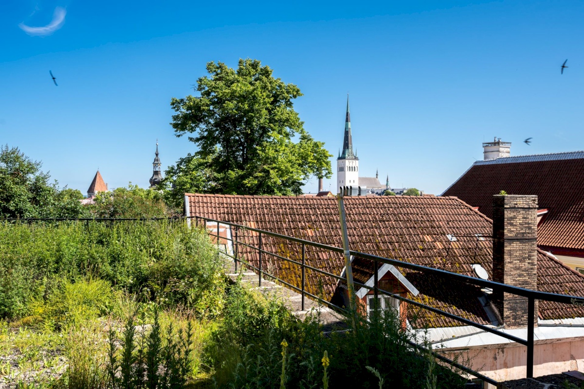 Tallinn, Kesklinna linnaosa, Vanalinn, Nunne 1