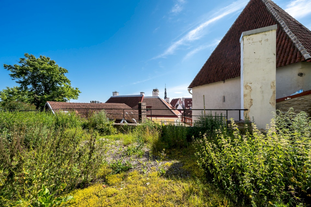 Tallinn, Kesklinna linnaosa, Vanalinn, Nunne 1