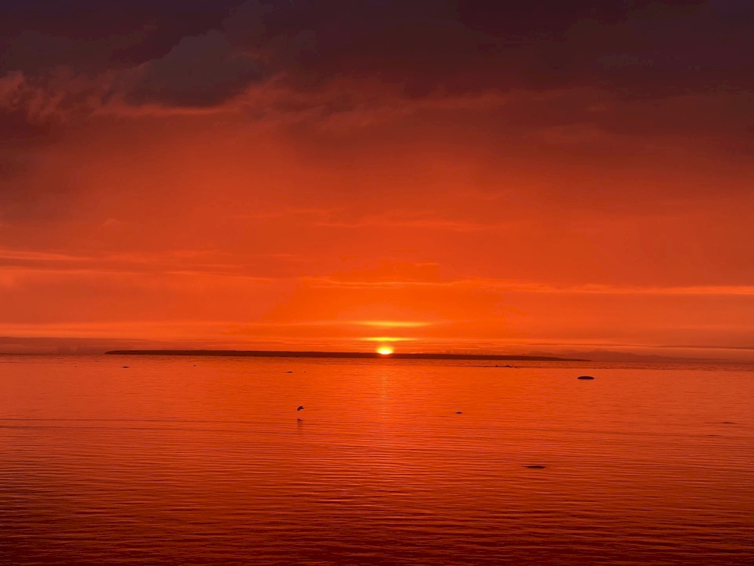 Tallinn, Põhja-Tallinna linnaosa, Sepa tn 28