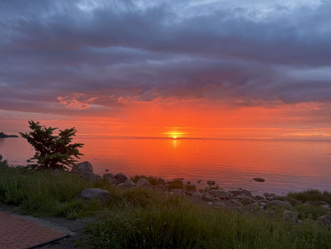 Tallinn, Põhja-Tallinna linnaosa, Sepa tn 28