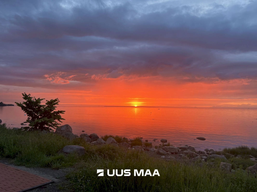 Tallinn, Põhja-Tallinna linnaosa, Sepa tn 28