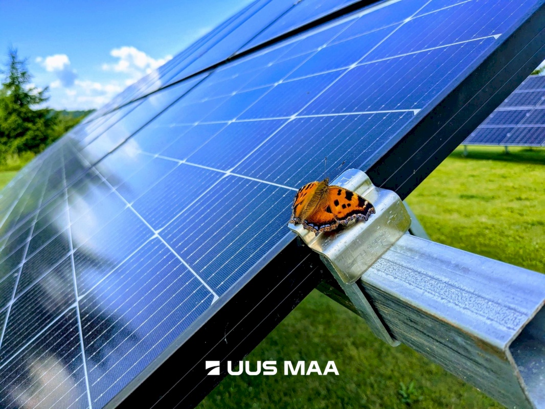 Viljandi vald, Vana-Võidu küla, Kõrgepõllu tee 6