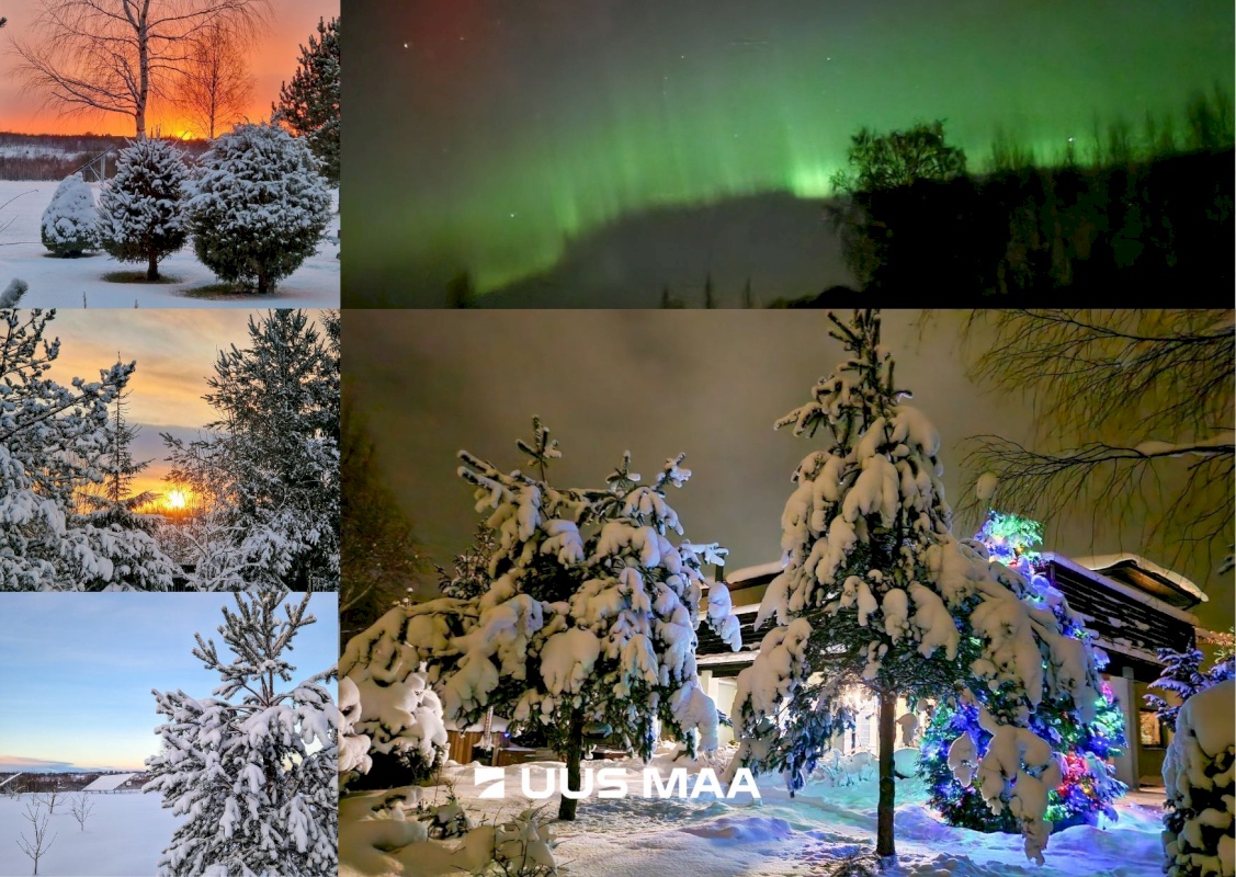 Viljandi vald, Vana-Võidu küla, Kõrgepõllu tee 6