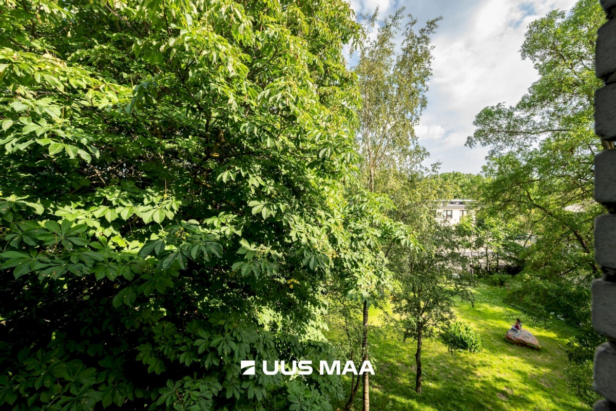 Tallinn, Lasnamäe linnaosa, Sikupilli, Tuha 7