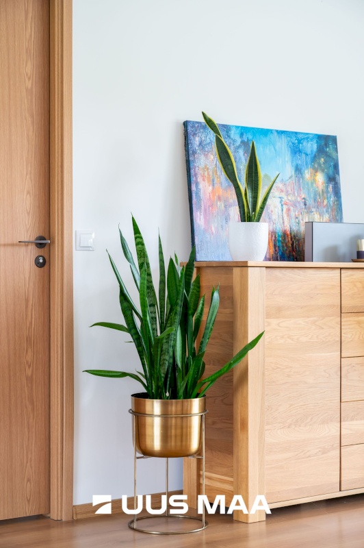 Lääne-Harju vald, Ohtu küla, Sulemaa