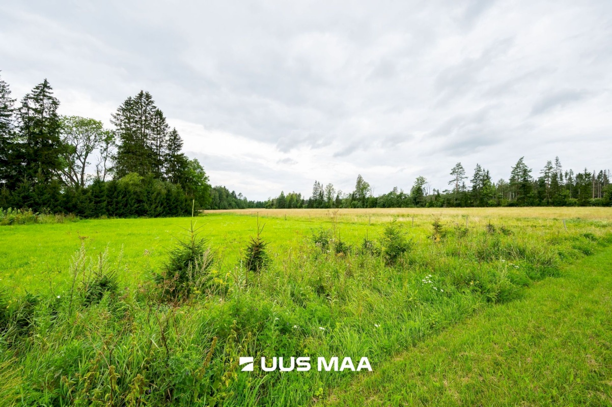 Lääne-Harju vald, Ohtu küla, Sulemaa