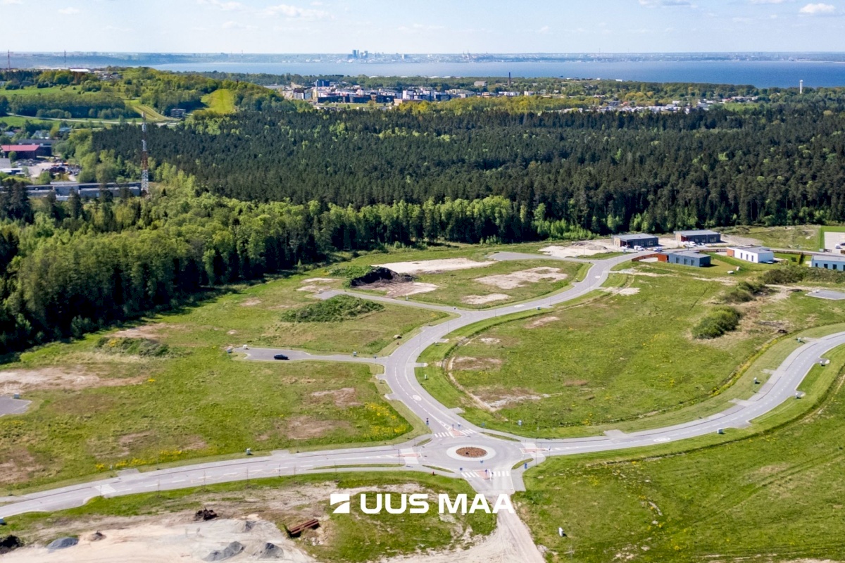 Viimsi vald, Lubja küla, Põldmarja tee 9