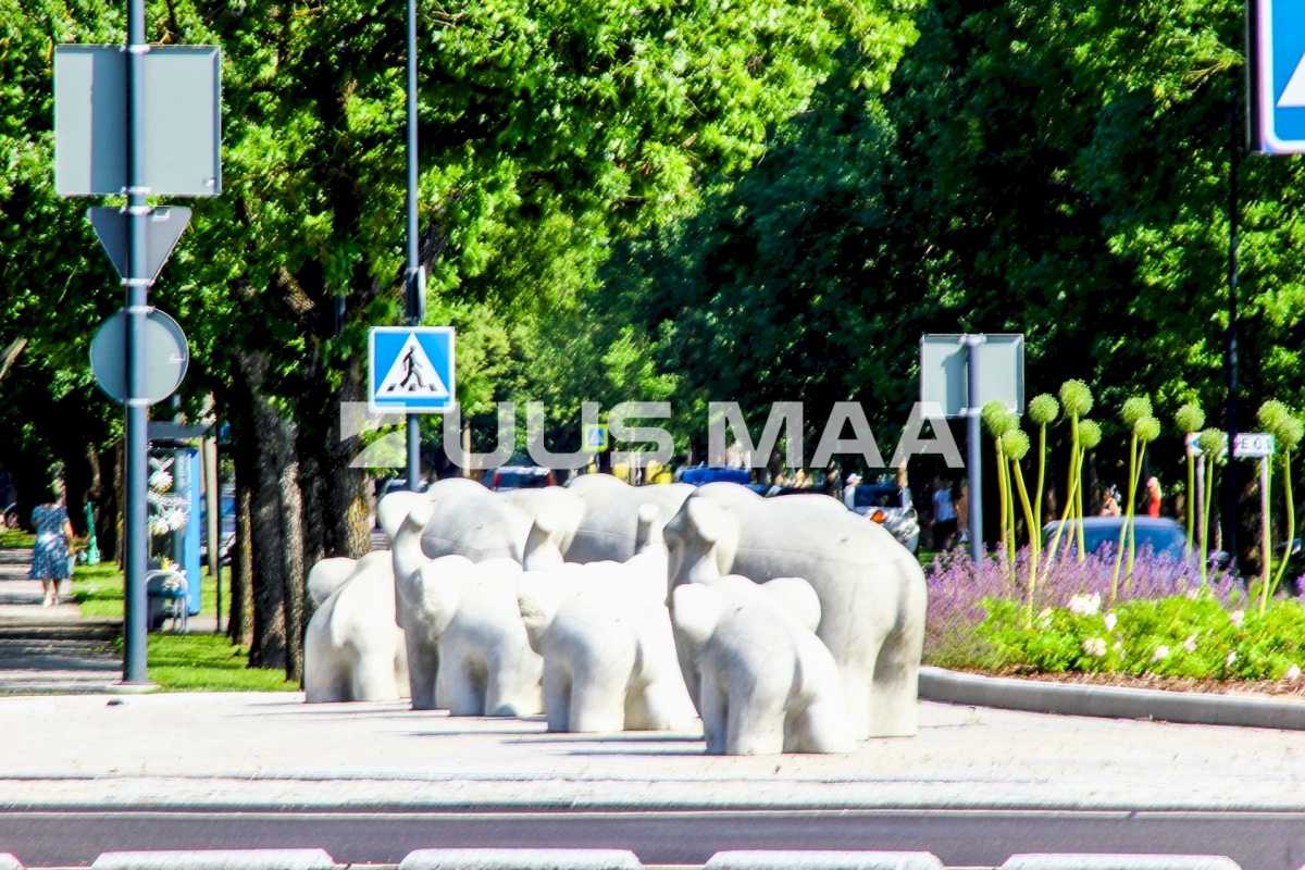 Pärnu linn, Pärnu linn, Rääma, Ilvese tn 34